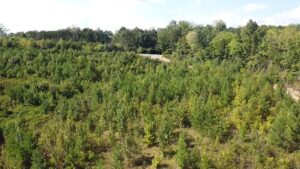 Property photo for land for sale in Halifax County Virginia