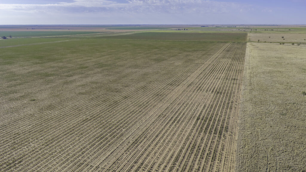 4e59f7dc-f91e-4b8d-98fa-c2acd6b3a312.jpg