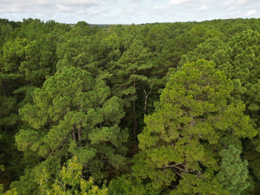 Property photo for land for sale in Smith County Texas