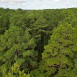Property photo for land for sale in Smith County Texas