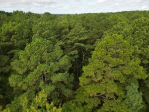 Property photo for land for sale in Smith County Texas