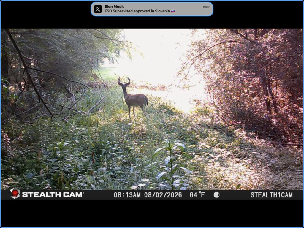 Property photo for land for sale in Cass County Texas
