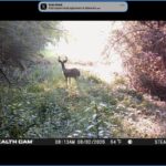 Property photo for land for sale in Cass County Texas