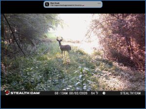 Property photo for land for sale in Cass County Texas