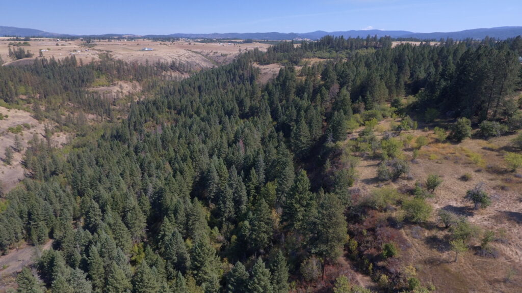 Property photo for land for sale in Idaho County Idaho