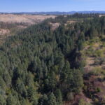Property photo for land for sale in Idaho County Idaho