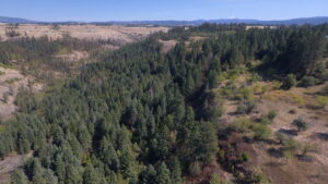 Property photo for land for sale in Idaho County Idaho