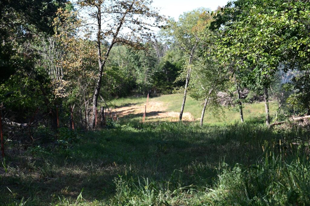 51d3646c-0cd9-4971-aea3-d65ac882bfe0.jpg