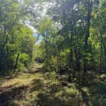 Property photo for land for sale in Pine County Minnesota