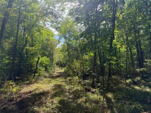 Property photo for land for sale in Pine County Minnesota