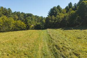 Property photo for land for sale in Roanoke County Virginia