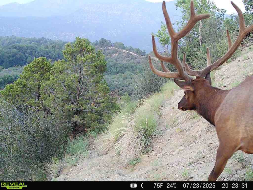 Property photo for land for sale in Mesa County Colorado