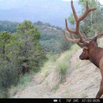 Property photo for land for sale in Mesa County Colorado