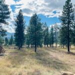 Property photo for land for sale in Sanders County Montana