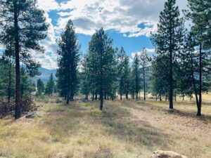 Property photo for land for sale in Sanders County Montana