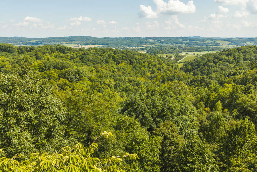 5bcbf33f-52e3-48e8-9301-f6f5e4447315.jpg