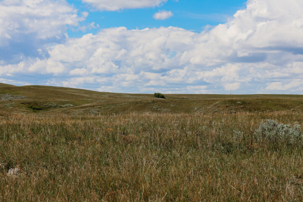 5c6ad0e6-61e4-400c-a74a-2d5585cbe7b9.jpg