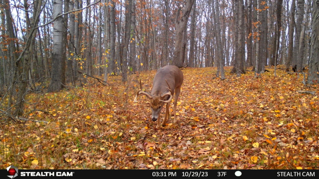 Property photo for land for sale in Richland County Wisconsin