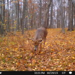 Property photo for land for sale in Richland County Wisconsin