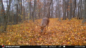 Property photo for land for sale in Richland County Wisconsin