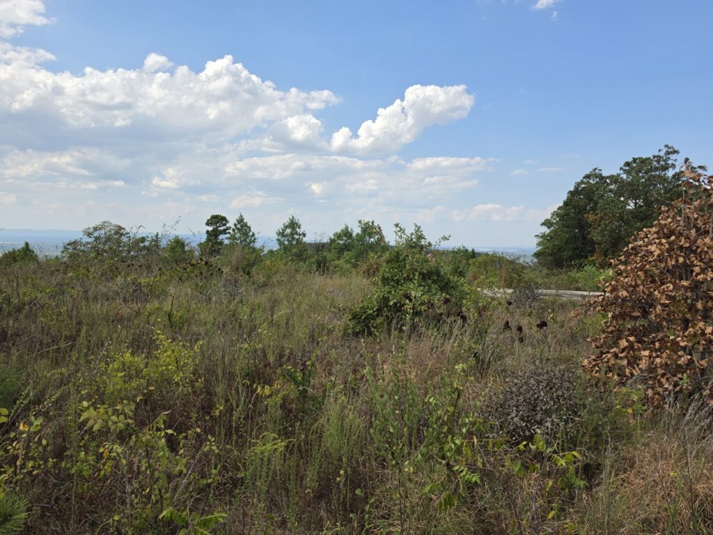 60c00f24-0975-4873-bdde-ba1497500381.jpg