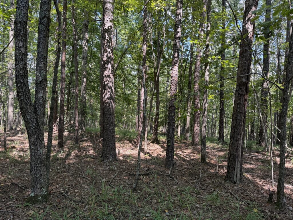 61d35f59-5927-45b0-b07c-4e255b2aea7a.jpg