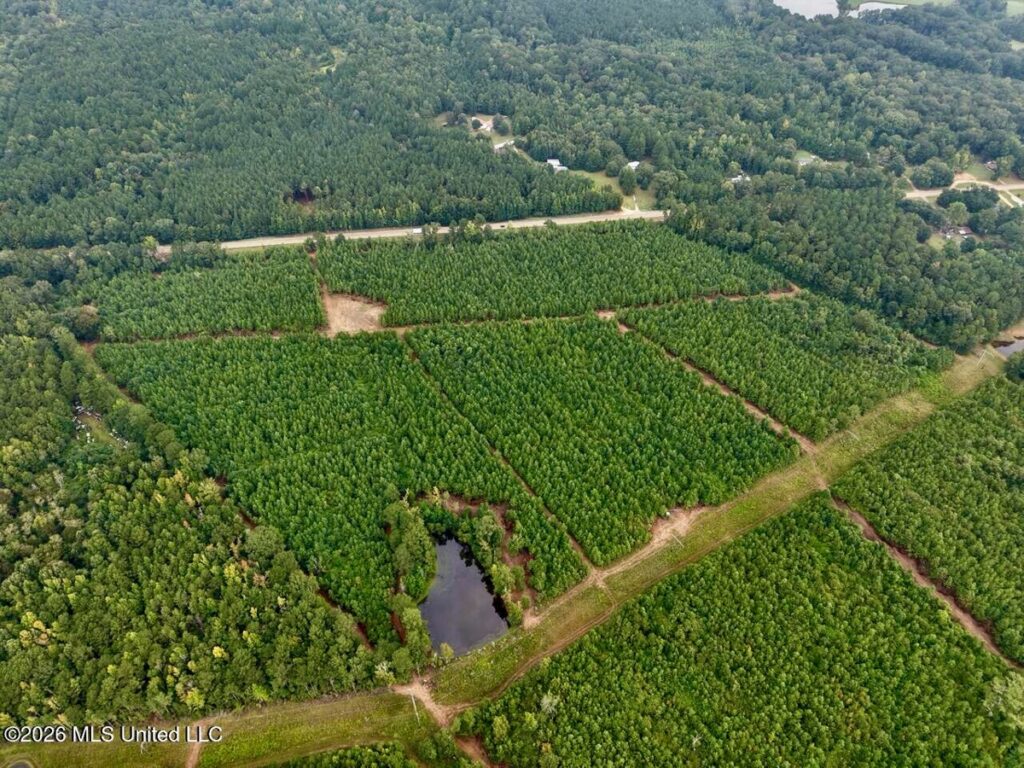 Property photo for land for sale in Wilkinson County Mississippi