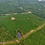 Property photo for land for sale in Wilkinson County Mississippi