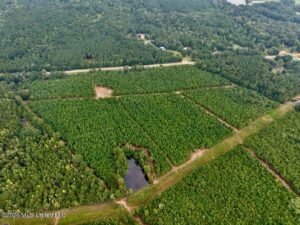 Property photo for land for sale in Wilkinson County Mississippi