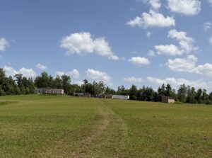 Property photo for land for sale in McNairy County Tennessee