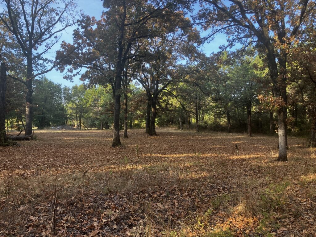 Property photo for land for sale in Le Flore County Oklahoma