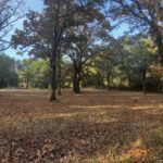Property photo for land for sale in Le Flore County Oklahoma