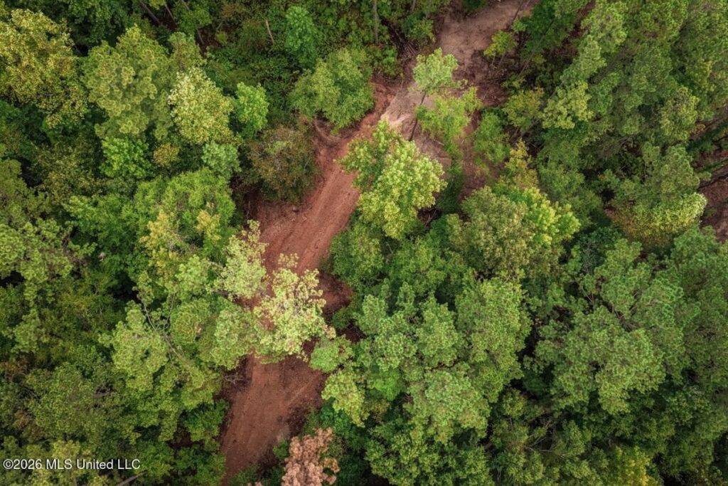 Property photo for land for sale in Franklin County Mississippi