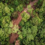 Property photo for land for sale in Franklin County Mississippi