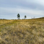 Property photo for land for sale in Garfield County Montana