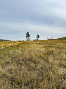 Property photo for land for sale in Garfield County Montana