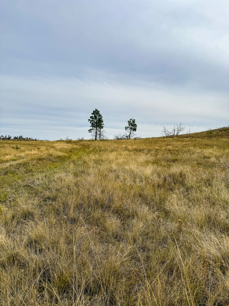 Property photo for land for sale in Garfield County Montana