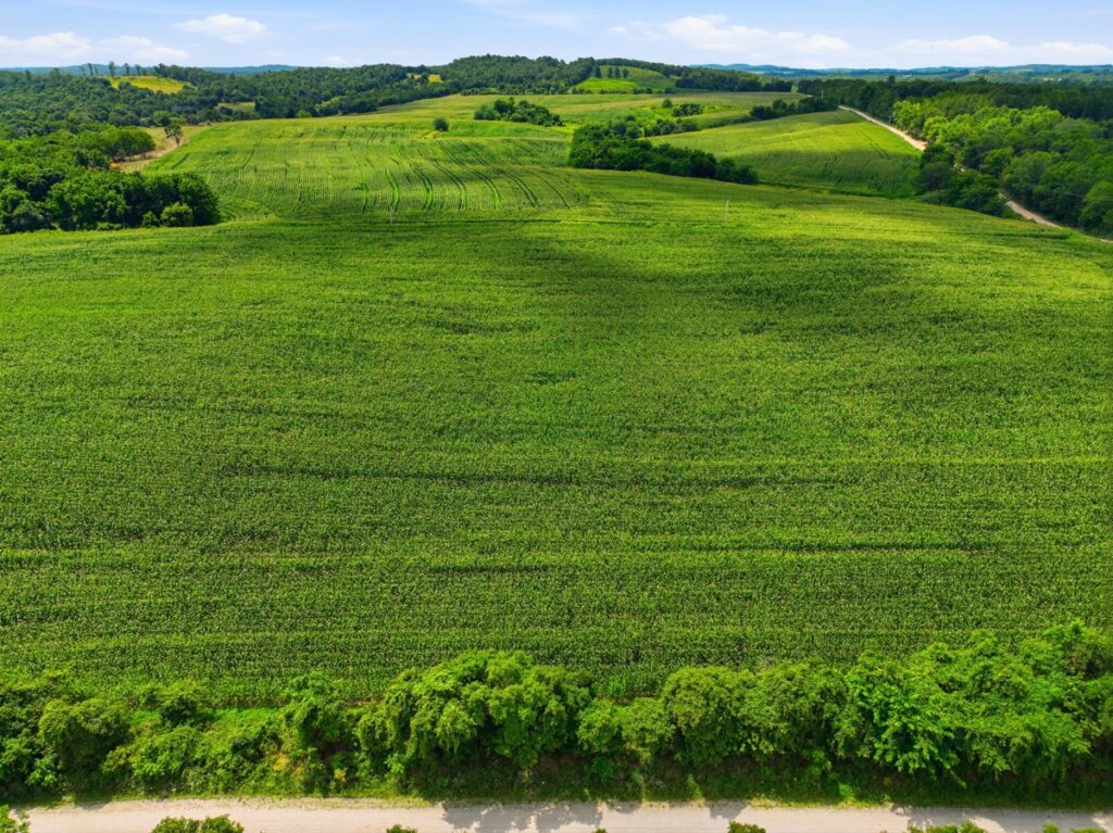 Property photo for land for sale in Texas County Missouri