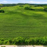 Property photo for land for sale in Texas County Missouri