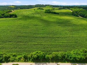 Property photo for land for sale in Texas County Missouri