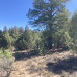 Property photo for land for sale in Rio Arriba County New Mexico