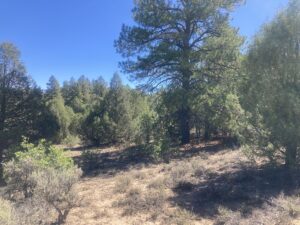 Property photo for land for sale in Rio Arriba County New Mexico