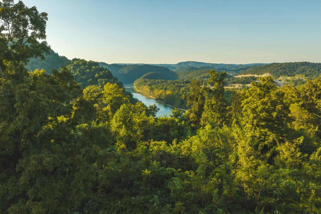 69ca64df-f891-4cc5-86c9-b4f81439391f.jpg