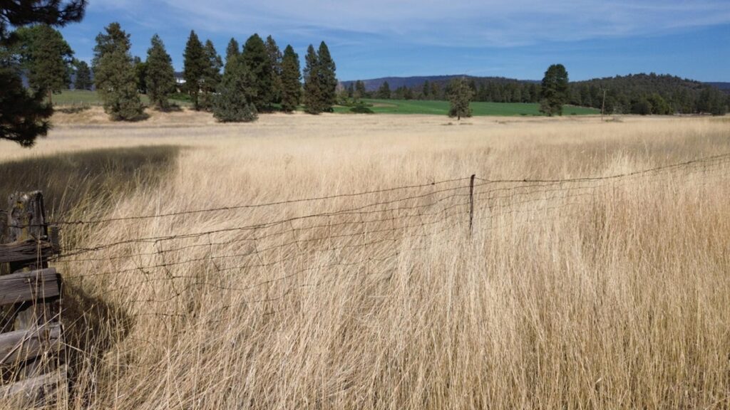 Property photo for land for sale in Shasta County California