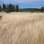 Property photo for land for sale in Shasta County California