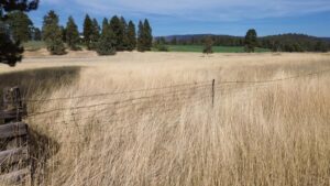 Property photo for land for sale in Shasta County California