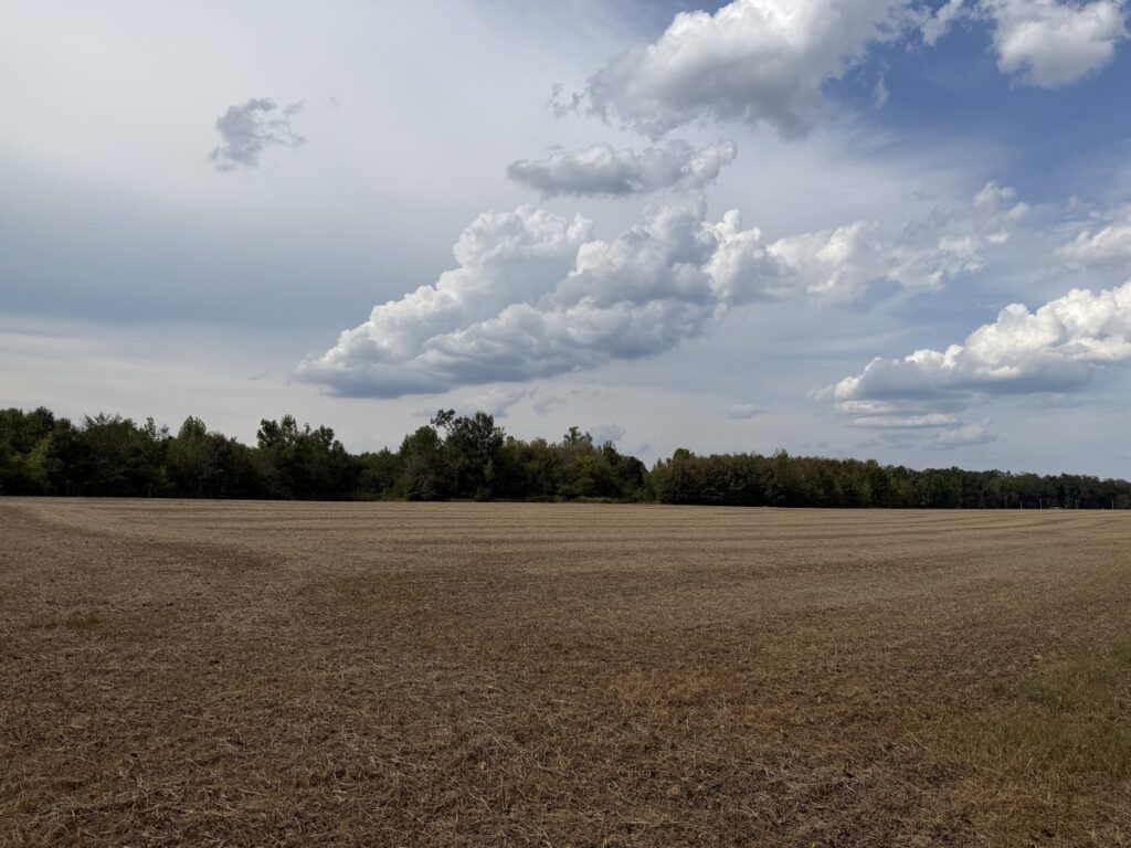 6b1c1e01-a807-4610-8566-1a38749eadf5.jpg