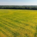 Property photo for land for sale in Scotland County Missouri