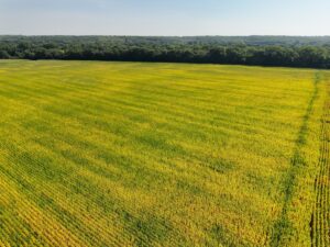 Property photo for land for sale in Scotland County Missouri