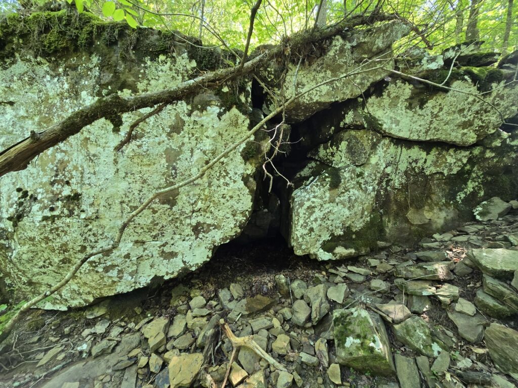 6c9a2cea-1fd0-4375-9675-e002f87cc094.jpg